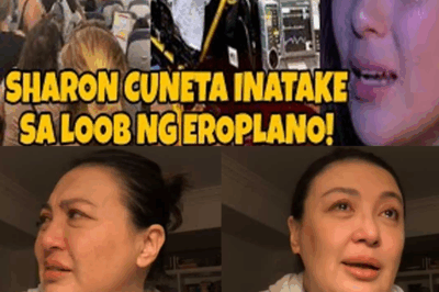 Sharon Cuneta Breaks Down in Tears Mid-Flight as KC Concepcion Surprises Her — The Heartwarming Reunion That Moved a Nation